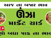 દૈનિક ભાવ – ઊંઝા માર્કેટ યાર્ડ : Unjha APMC