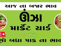 દૈનિક ભાવ – ઊંઝા માર્કેટ યાર્ડ : Unjha APMC