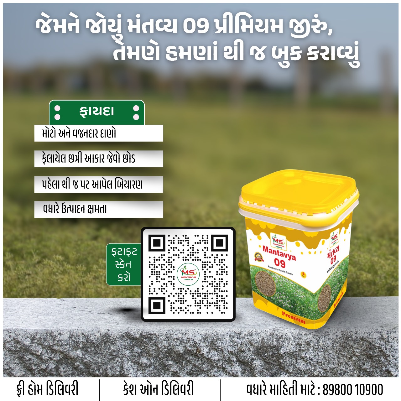 જીરું નું બીયારણ , જીરું ની નવી વેરાયટી, નવા જીરા નું બિયારણ