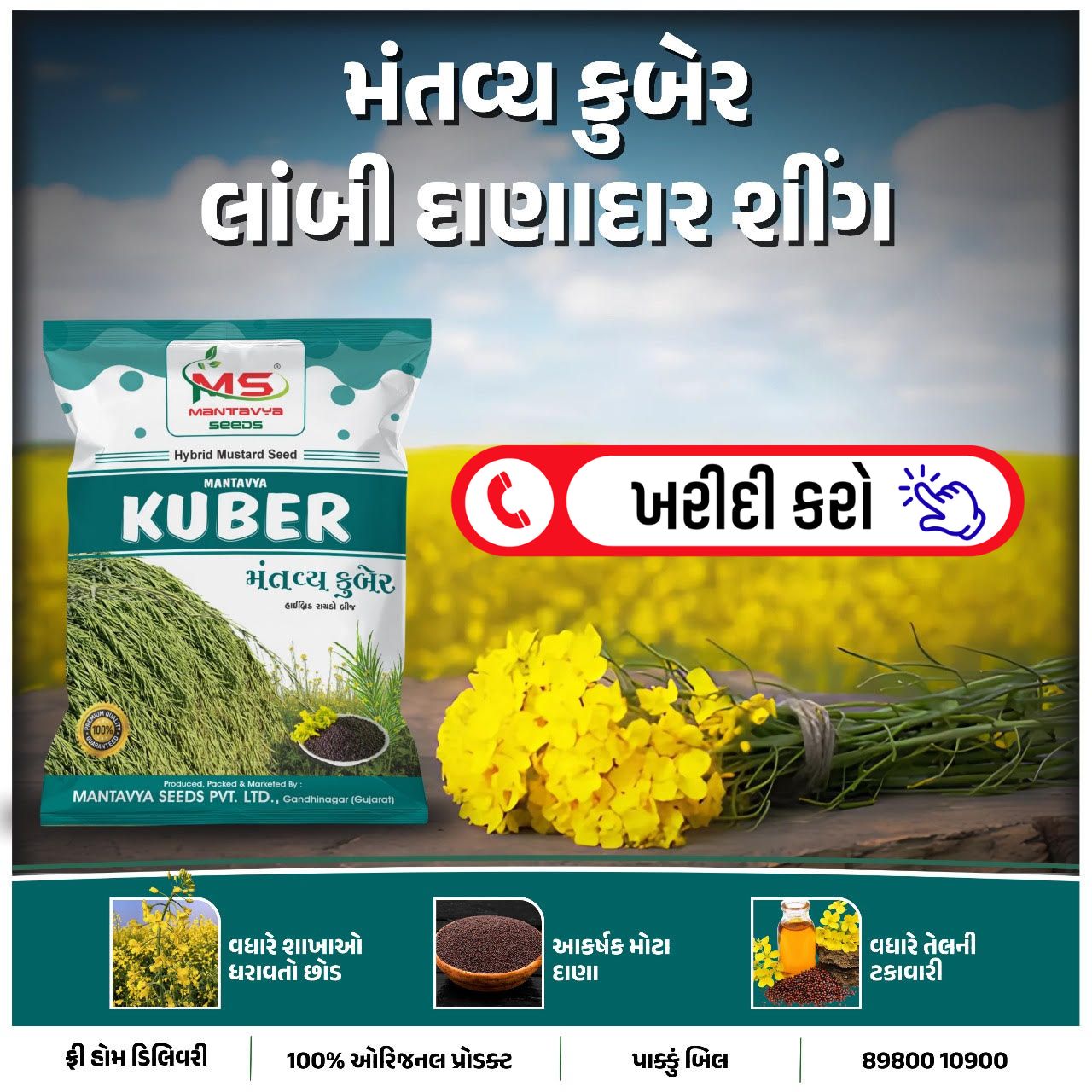 રાયડા બિયારણ , રાયડા ની નવી વેરાયટી, રાયડા નું બિયારણ, રાયડાના ભાવ