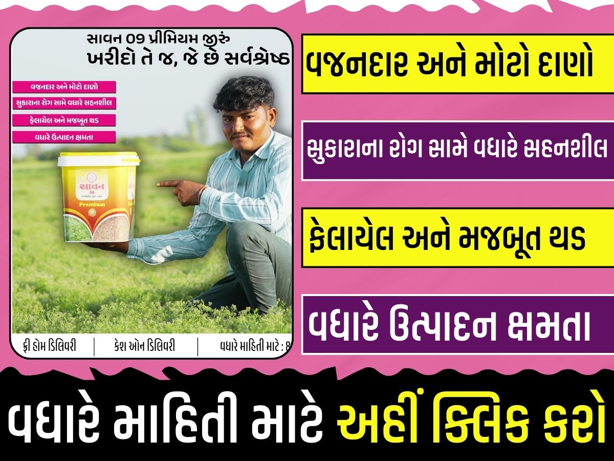 એગ્રોભાઈ