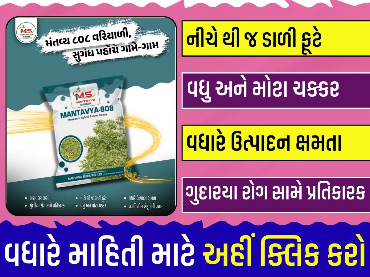 એગ્રોભાઈ