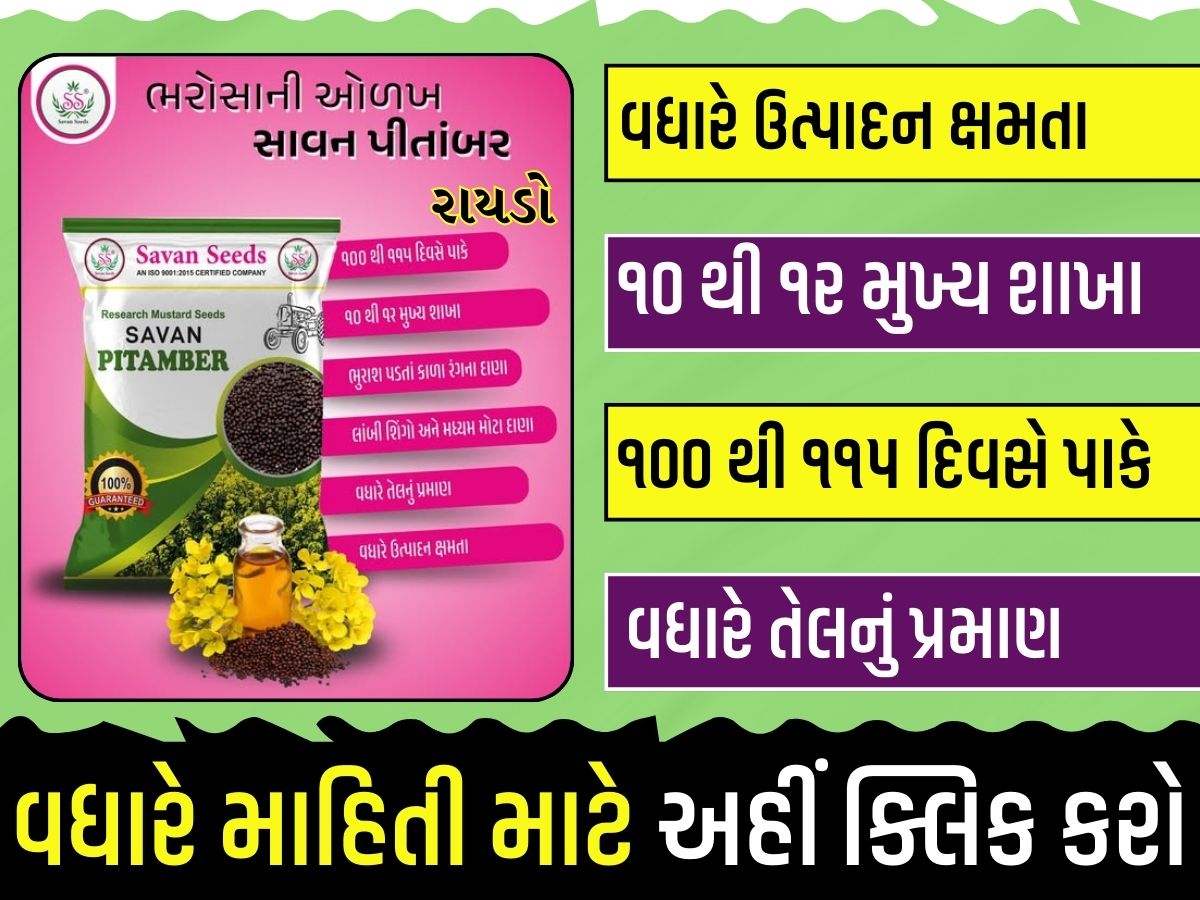 એગ્રોભાઈ