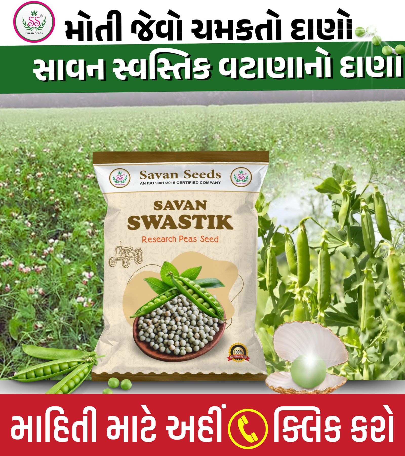 વટાણા બિયારણ, વટાણા નું બિયારણ, વટાણા ની ખેતી