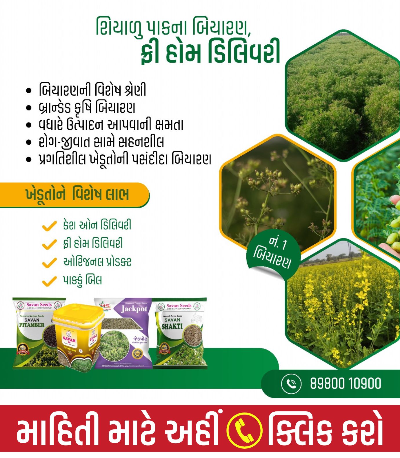  જીરું બિયારણ, જીરું નું બિયારણ 