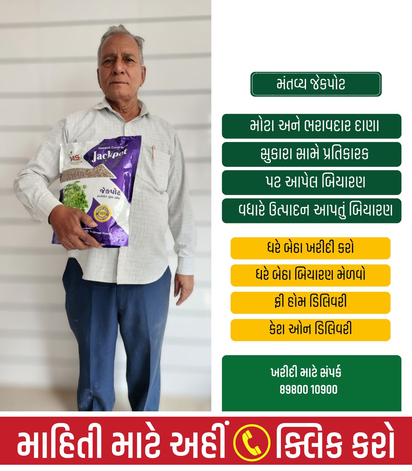 જીરું નું બિયારણ, જીરું બિયારણ, જીરું ની નવી વેરાયટી