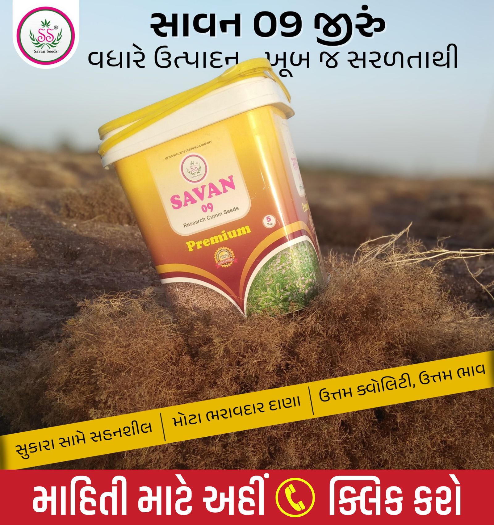 પ્રીમિયમ જીરું