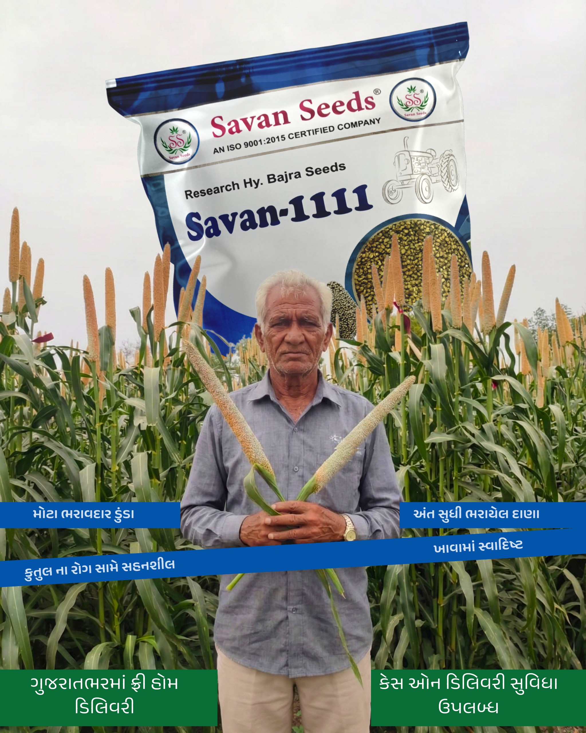 સાવન 1111 બાજરી બિયારણ, સાવન