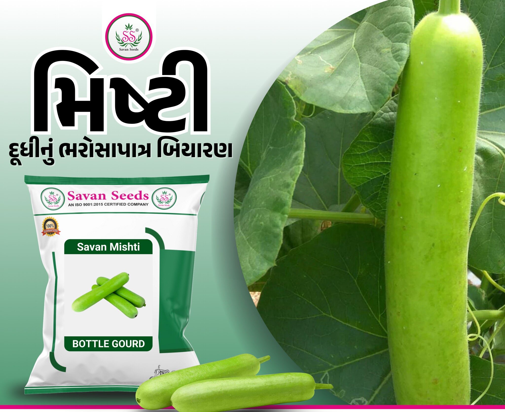 દૂધીનું બેસ્ટ બિયારણ, સાવન