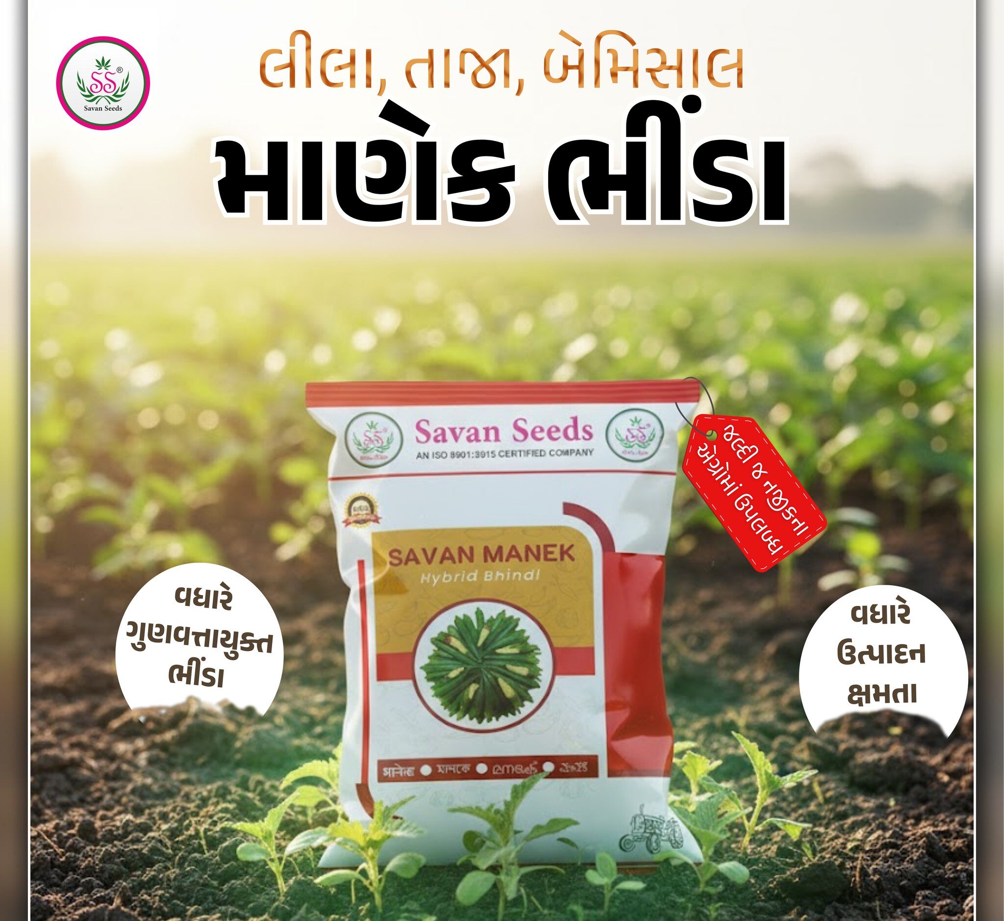 ભીંડાનું બેસ્ટ બિયારણ, સાવન