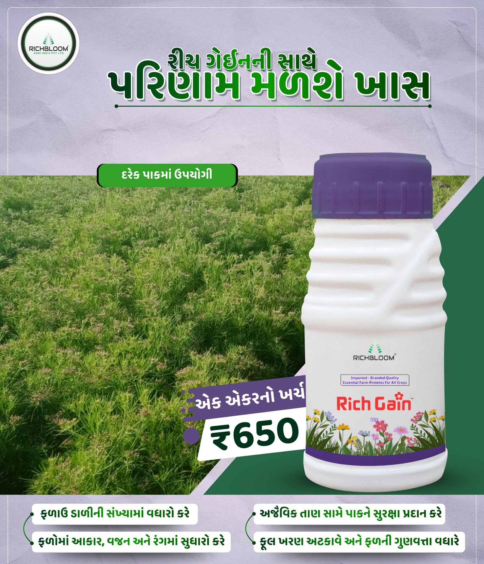 રીચ ગેઇન