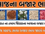 ખેડૂતો માટે કામની વાત, દરેક પાકના આજના બજાર ભાવ જુઓ.