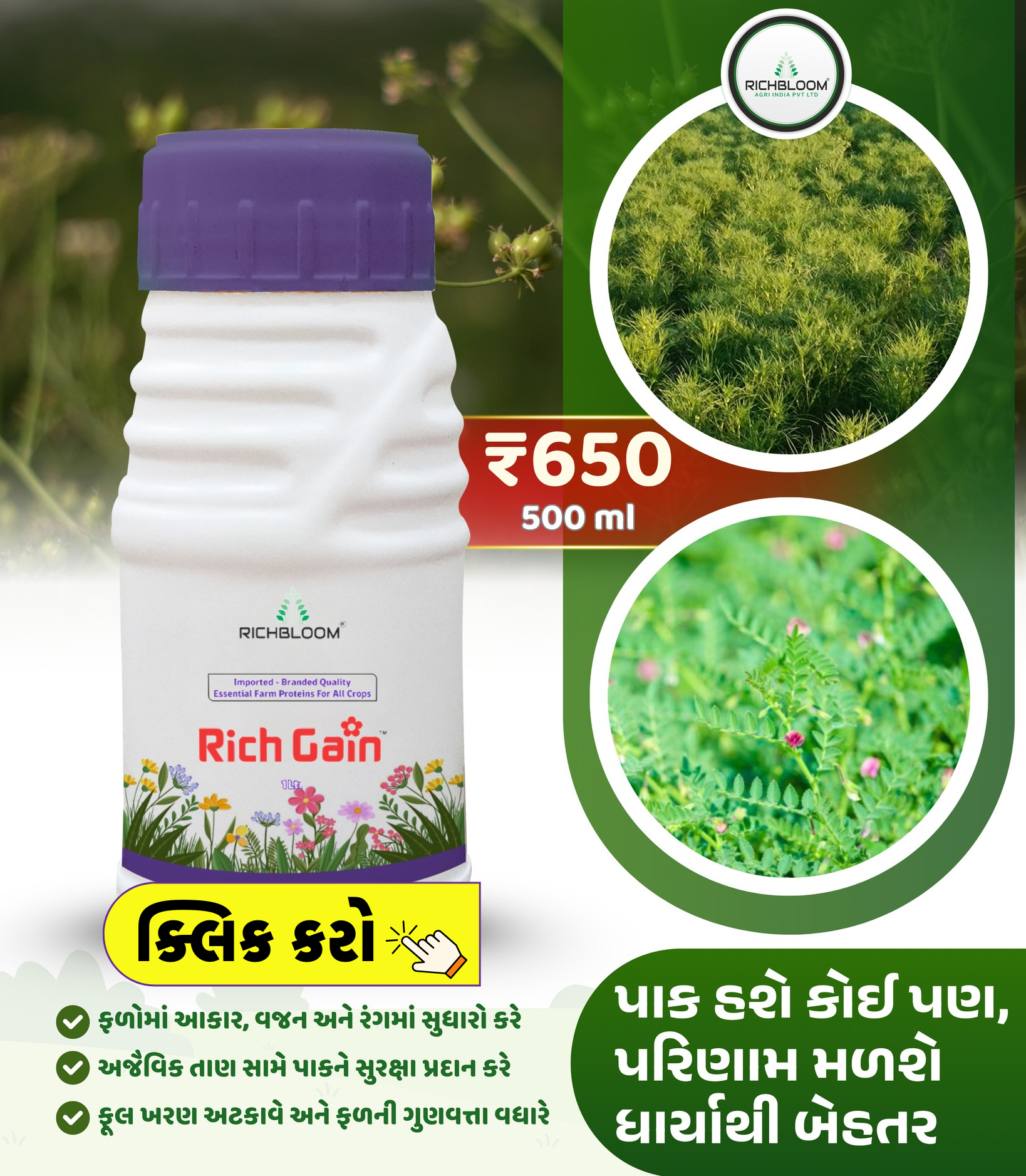 રીચ ગેઇન