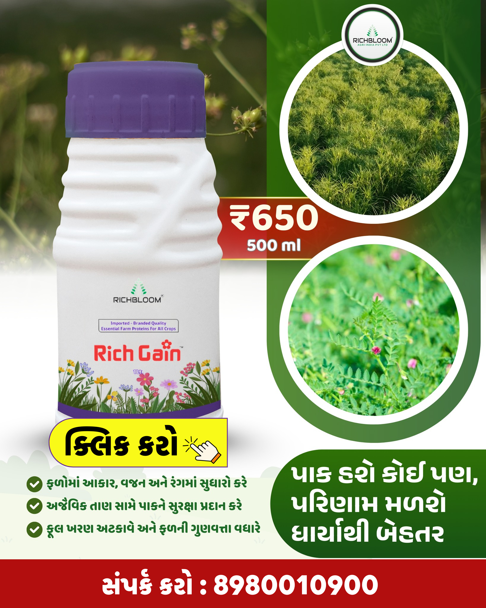 રીચ ગેઇન Main