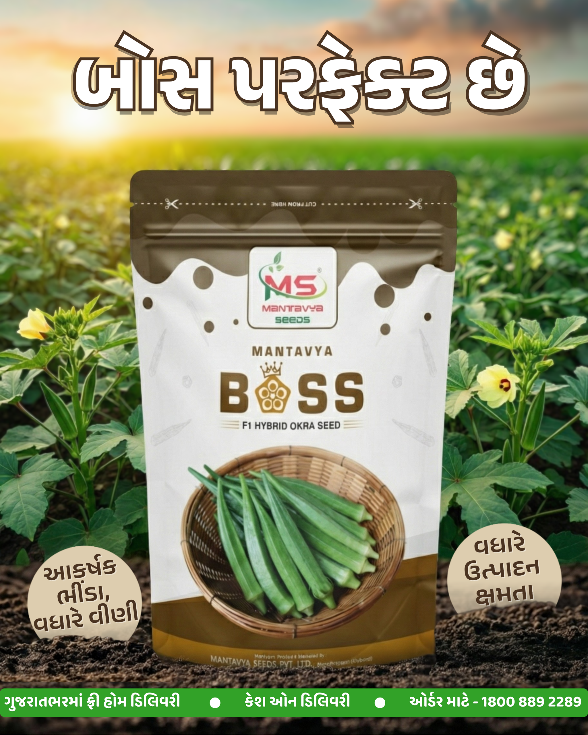 મંતવ્ય બોસ ભીંડા