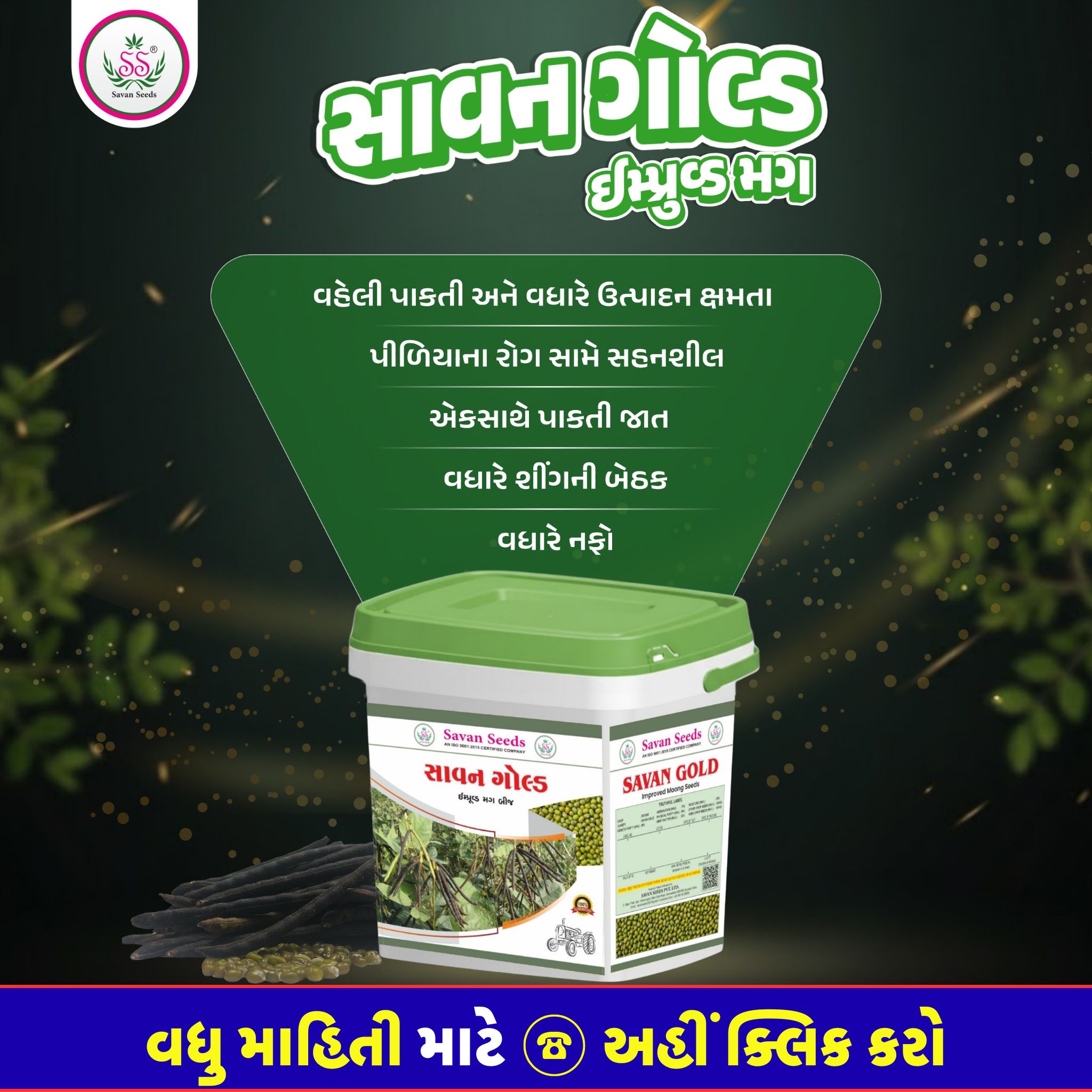 સાવન ગોલ્ડ મગ બિયારણ