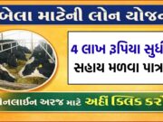 તબેલા બનાવવા માટે મળશે 4 લાખની લોન – પશુપાલકો માટે સરકારની મોટી સહાય