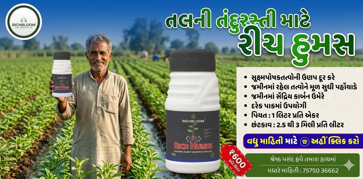 મગ બિયારણ, સાવન