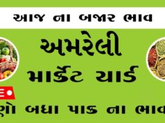 દૈનિક ભાવ – અમરેલી માર્કેટ યાર્ડ : Amreli APMC
