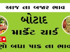 દૈનિક ભાવ – બોટાદ માર્કેટ યાર્ડ : Botad APMC