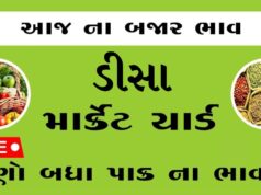 દૈનિક ભાવ – ડીસા માર્કેટ યાર્ડ : Deesa APMC