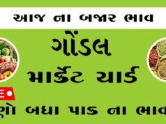 દૈનિક ભાવ – ગોંડલ માર્કેટ યાર્ડ : Gondal APMC