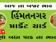 દૈનિક ભાવ – હિંમતનગર માર્કેટ યાર્ડ : Himatnagar APMC