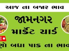 દૈનિક ભાવ – જામનગર માર્કેટ યાર્ડ : Jamnagar APMC