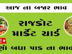 દૈનિક ભાવ – રાજકોટ માર્કેટ યાર્ડ : Rajkot APMC