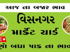 દૈનિક ભાવ – વિસનગર માર્કેટ યાર્ડ : Visnagar APMC