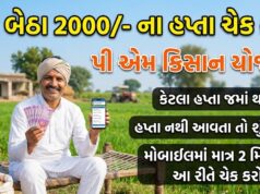PM કિસાન યોજના: તમારો હપ્તો આવ્યો કે નહીં? આ રીતે ઘરે બેઠા ચેક કરો નવી યાદી અને સ્ટેટસ