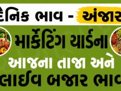 દૈનિક ભાવ – અંજાર માર્કેટ યાર્ડ : Anjar APMC