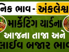 દૈનિક ભાવ – અંકલેશ્વર માર્કેટ યાર્ડ : Ankleshwar APMC
