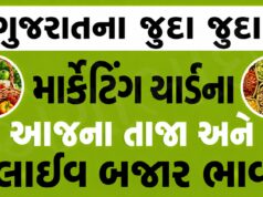 Gujarat Bazar Bhav | ગુજરાત માર્કેટ યાર્ડ ભાવ | Today Bajar Bhav | Gujarat Mandi Bhav | Gujarat Market Yard Bhav