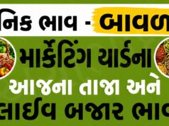 દૈનિક ભાવ – બાવળા માર્કેટ યાર્ડ : Bavla APMC