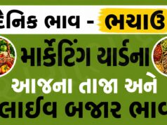 દૈનિક ભાવ – ભચાઉ માર્કેટ યાર્ડ : Bhachau APMC