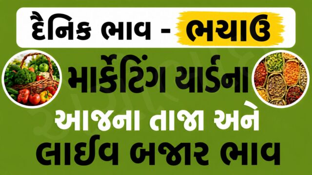 Bhachau APMC
