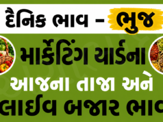 દૈનિક ભાવ – ભુજ માર્કેટ યાર્ડ : Bhuj APMC