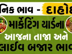 દૈનિક ભાવ – દાહોદ માર્કેટ યાર્ડ : Dahod APMC