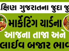 South (Dakshin) Gujarat Market Yard Bajar Bhav – દક્ષિણ ગુજરાત માર્કેટિંગ યાર્ડ બજાર ભાવ