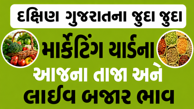 Dakshin Gujarat Market Yard Bajar Bhav