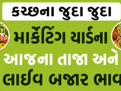 Kutch Bhuj Market Yard – કચ્છ માર્કેટિંગ યાર્ડ ભાવ