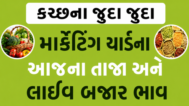 Kutch Bhuj Market Yard
