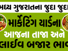 Central (Madhya) Gujarat Market Yard Bhav – મધ્ય ગુજરાત માર્કેટયાર્ડ બજાર ભાવ