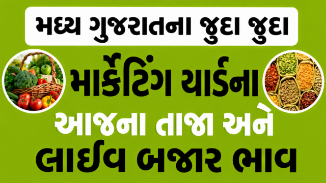 Madhya Gujarat Market Yard Bhav