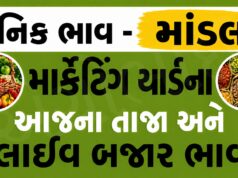 દૈનિક ભાવ – માંડલ માર્કેટ યાર્ડ : Mandal APMC