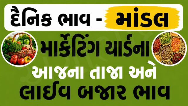 Mandal APMC