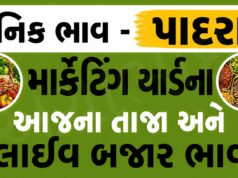 દૈનિક ભાવ – પાદરા માર્કેટ યાર્ડ : Padra APMC