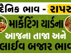 દૈનિક ભાવ – રાપર માર્કેટ યાર્ડ : Rapar APMC