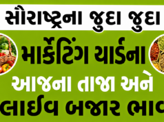 Saurashtra Marketing Yard Bajar Bhav – સૌરાષ્ટ્ર માર્કેટિંગ યાર્ડ બજાર ભાવ